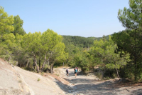 Pilgern auf den Spuren von Franz und Klara