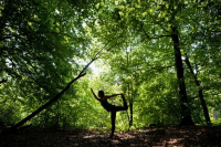 Yoga und Tanz