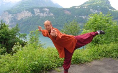 Taiji Quan